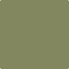 Benjamin Moore's paint color 2144-20 Eucalyptus Leaf available at Gleco Paints.
