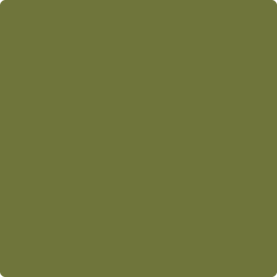 Benjamin Moore's paint color 2145-10 Avocado available at Gleco Paints.