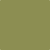Benjamin Moore's paint color 2145-20 Terrapin Green available at Gleco Paints.