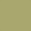 Benjamin Moore's paint color 2145-30 Brookside Moss available at Gleco Paints.