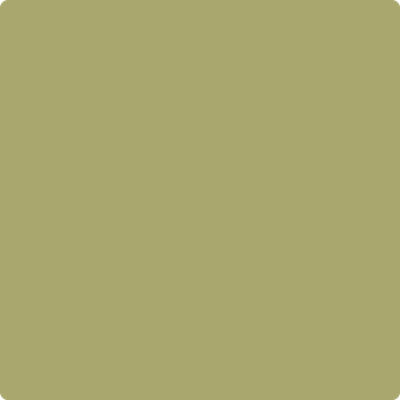 Benjamin Moore's paint color 2145-30 Brookside Moss available at Gleco Paints.
