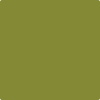 Benjamin Moore's paint color 2146-10 Dark Celery available at Gleco Paints.