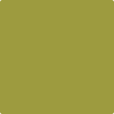 Benjamin Moore's paint color 2146-20 Forest Moss available at Gleco Paints.
