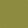 Benjamin Moore's paint color 2147-10 Oregano available at Gleco Paints.