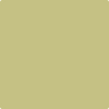 Benjamin Moore's paint color 2147-40 Dill Pickle available at Gleco Paints.