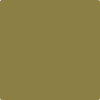 Benjamin Moore's paint color 2149-10 Newt Green available at Gleco Paints.