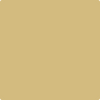 Benjamin Moore's paint color 2151-40 Sulfur Yellow available at Gleco Paints.