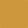 Benjamin Moore's paint color 2154-20 Spicy Mustard available at Gleco Paints.