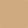 Benjamin Moore's paint color 2161-40 Acorn Yellow available at Gleco Paints.