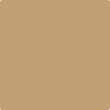 Benjamin Moore's paint color 2162-40 Peanut Shell available at Gleco Paints.