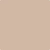 Benjamin Moore's paint color 2164-50 Saint Martin Sand available at Gleco Paints.