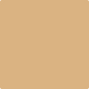 Benjamin Moore's paint color 2165-40 Dark Beige available at Gleco Paints.