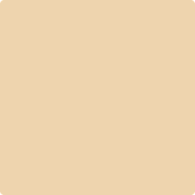 Benjamin Moore's paint color 2165-50 Natural Sand available at Gleco Paints.