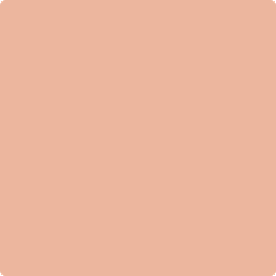 Benjamin Moore's paint color 2175-50 Peach Blossom available at Gleco Paints.