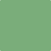 565 Aurora Borealis