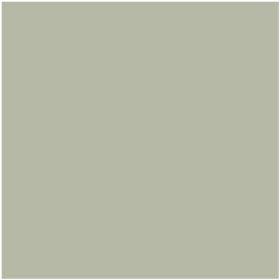 Benjamin Moore's Paint Color CC-550 October Mist available at Gleco Paints in Pennsylvania