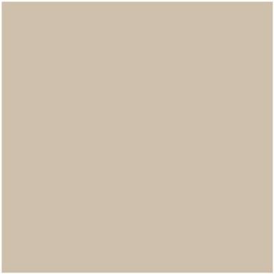 Benjamin Moore Color HC-80 Bleeker Beige