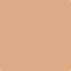Benjamin Moore's Paint Color CC-186 Indian Summer available at Gleco Paints in Pennsylvania