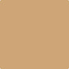 Benjamin Moore's Paint Color CC-274 Ginger Root available at Gleco Paints in Pennsylvania