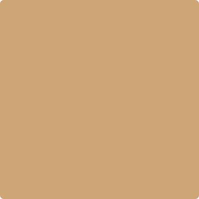 Benjamin Moore's Paint Color CC-274 Ginger Root available at Gleco Paints in Pennsylvania