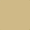 Benjamin Moore's Paint Color CC-300 Sombrero available at Gleco Paints in Pennsylvania