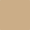 Benjamin Moore's Paint Color CC-304 Sisal available at Gleco Paints in Pennsylvania
