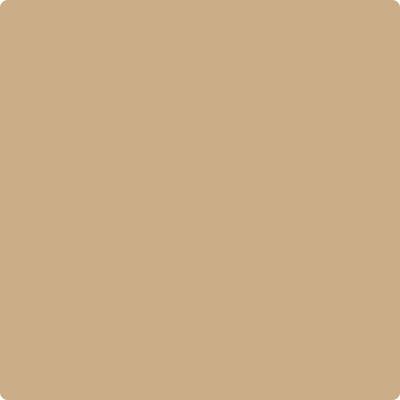 Benjamin Moore's Paint Color CC-304 Sisal available at Gleco Paints in Pennsylvania