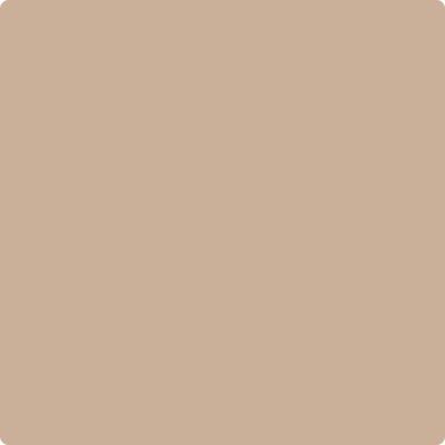 Benjamin Moore's Paint Color CC-366 Nubuck available at Gleco Paints in Pennsylvania