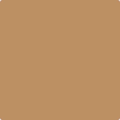 Benjamin Moore's Paint Color CC-420 Maple Syrup available at Gleco Paints in Pennsylvania