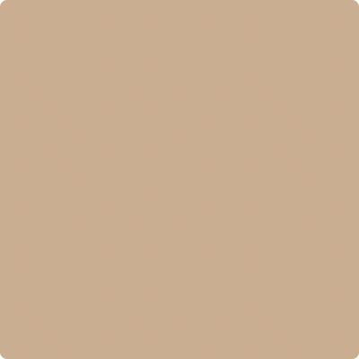 Benjamin Moore's Paint Color CC-488 Biscotti available at Gleco Paints in Pennsylvania