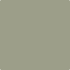 Benjamin Moore's Paint Color CC-560 Raintree Green available at Gleco Paints in Pennsylvania