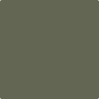 Benjamin Moore's Paint Color CC-570 Forest Floor available at Gleco Paints in Pennsylvania