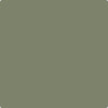 Benjamin Moore's Paint Color CC-600 Mossy Oak available at Gleco Paints in Pennsylvania