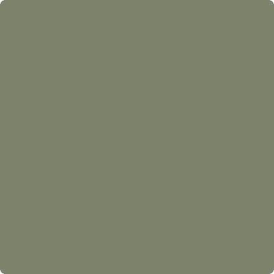 Benjamin Moore's Paint Color CC-600 Mossy Oak available at Gleco Paints in Pennsylvania