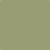 Benjamin Moore's Paint Color CC-668 Misted Fern available at Gleco Paints in Pennsylvania