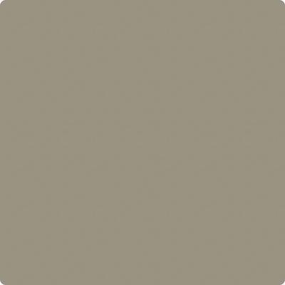 Benjamin Moore's Paint Color CC-696 Taiga available at Gleco Paints in Pennsylvania