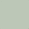 Benjamin Moore's Paint Color CC-728 Maid of the Mist available at Gleco Paints in Pennsylvania