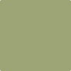 Benjamin Moore Colour CSP-840 Barefoot in the Grass